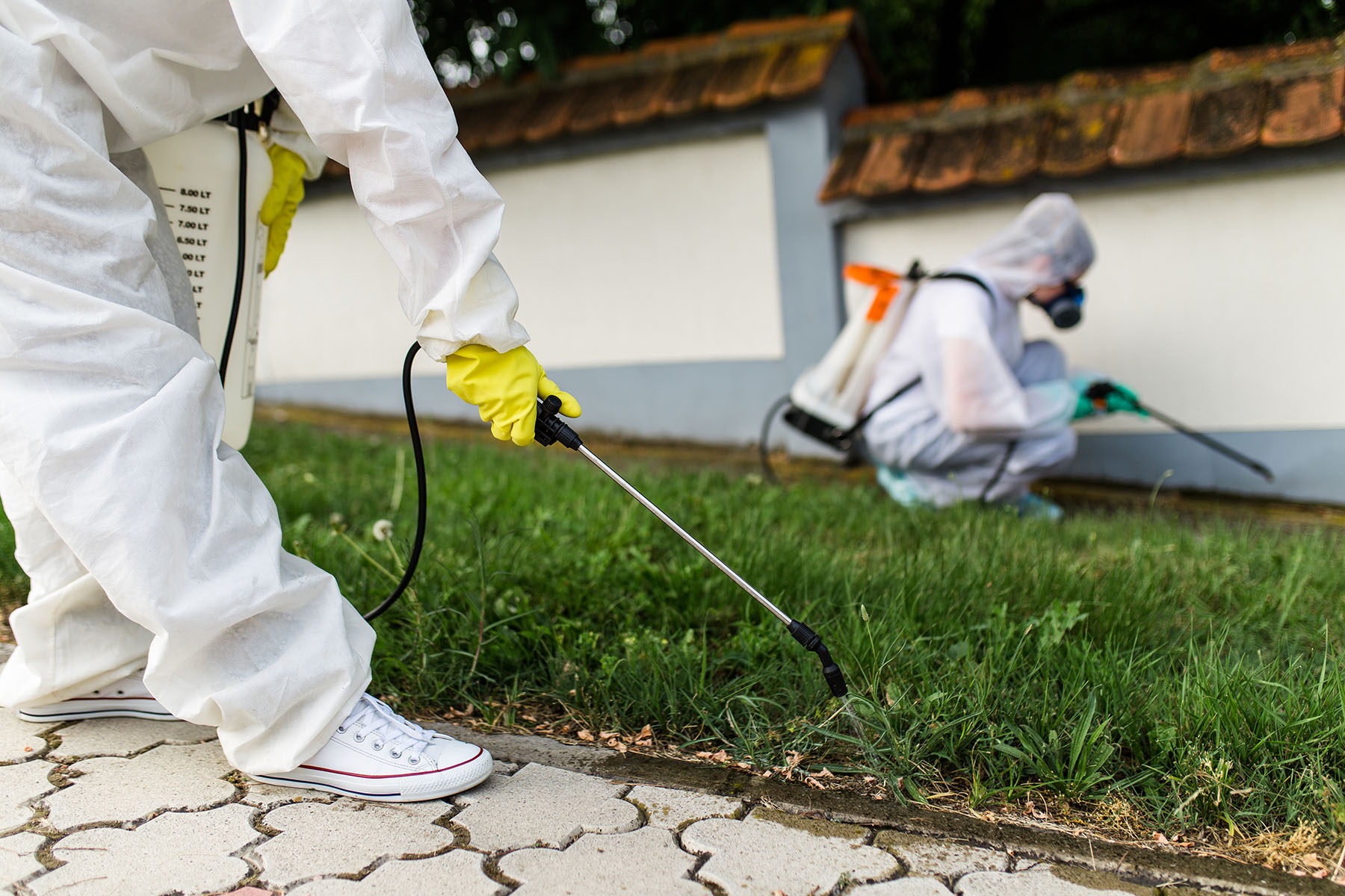 Pest control technician treating a home exterior in Johnson City, Tennessee