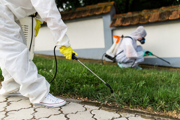 Sevierville pest control reviews and reputation