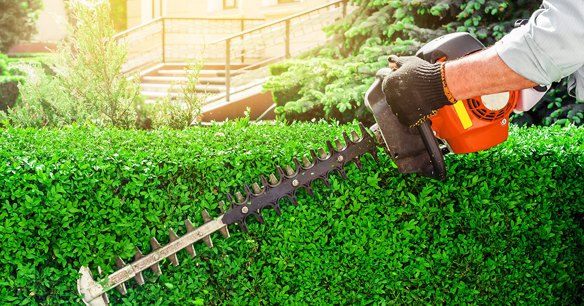 Landscaping crew member trimming a hedge outside a Farragut home on a sunny day