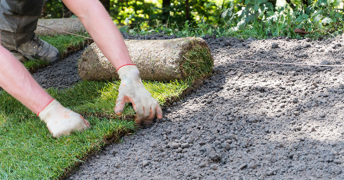 Landscaper laying rolls of fresh sod on a residential lawn in Alcoa