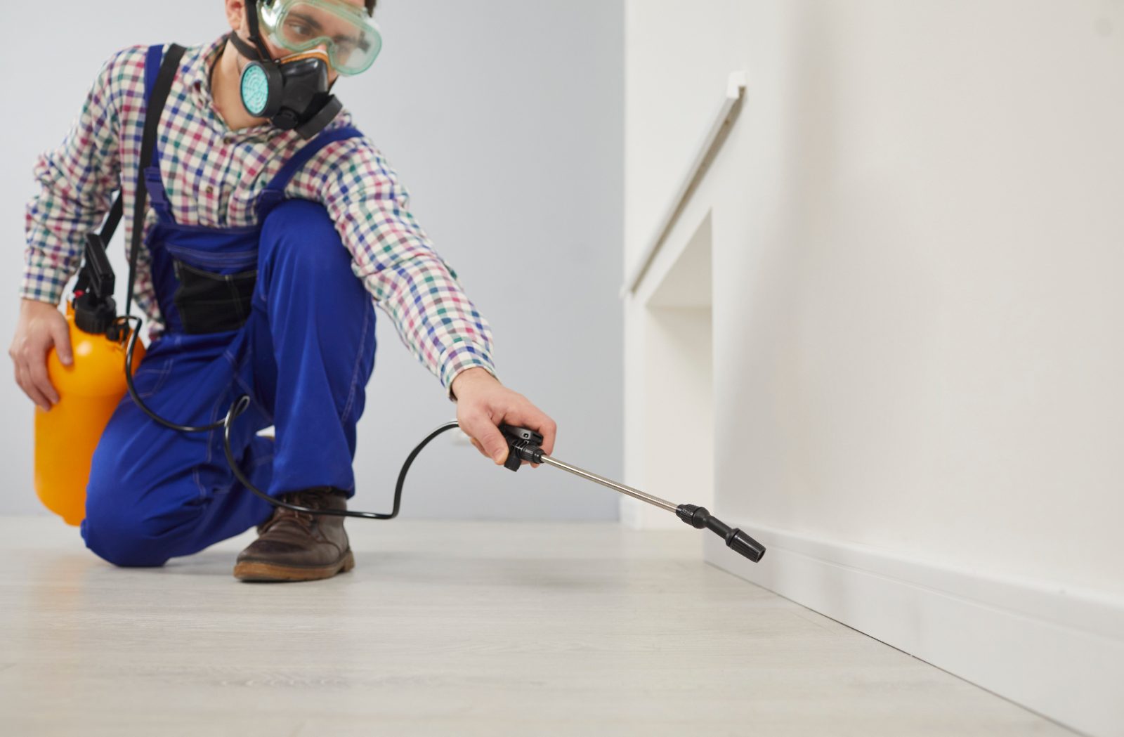 Pest Control Marketing