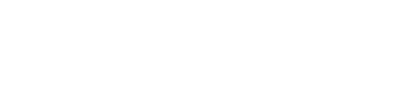 Shorebird Logo