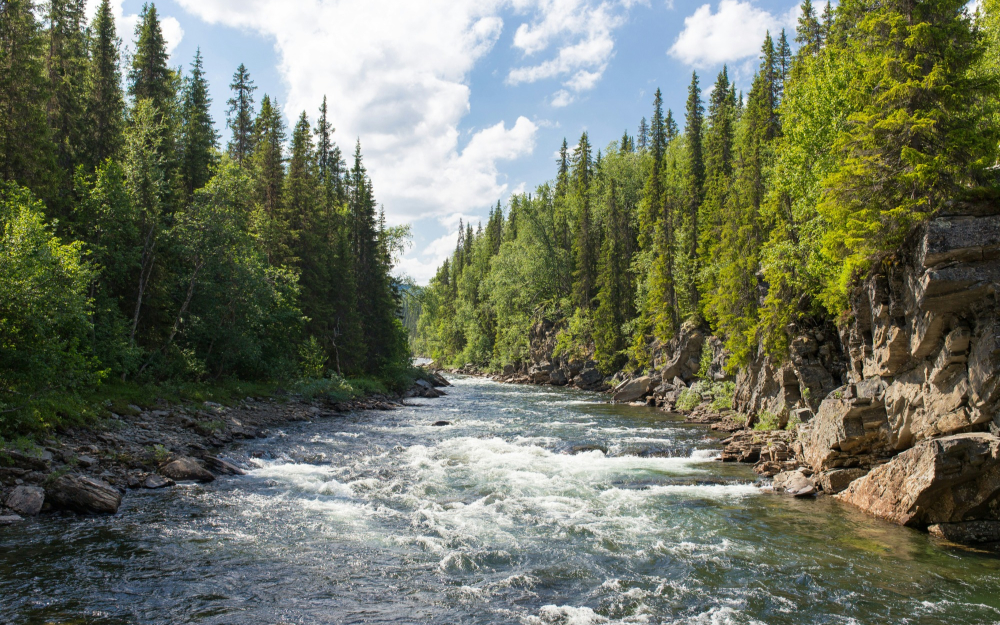 Groundwater Mitigation