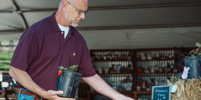 Older man working in a plant nursery 