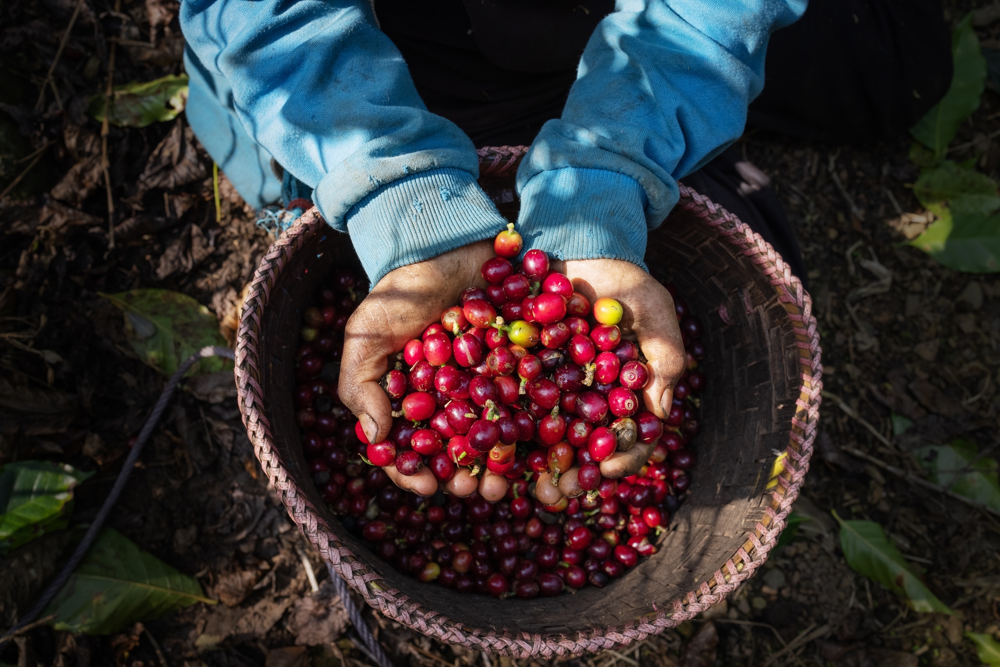 coffee-commodity