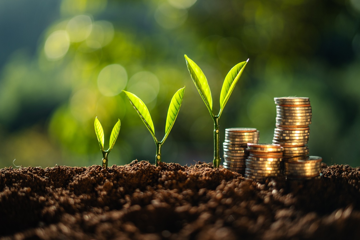 What Is Sustainable Investing in Global Markets?