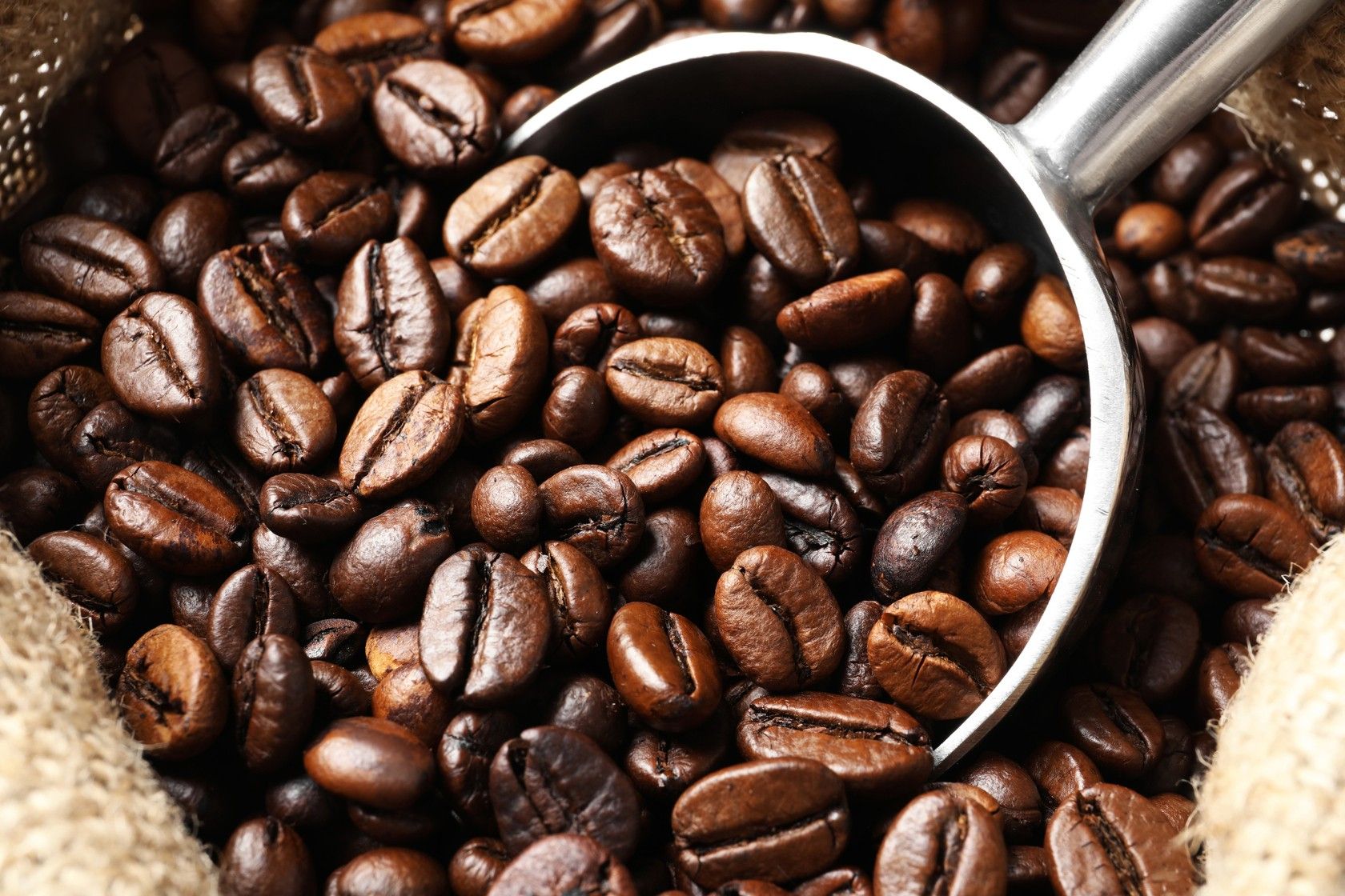 arabica-vs-robusta-beans