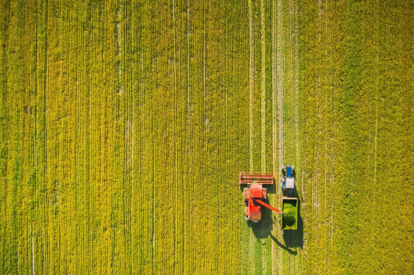agriculture-commodity-supply