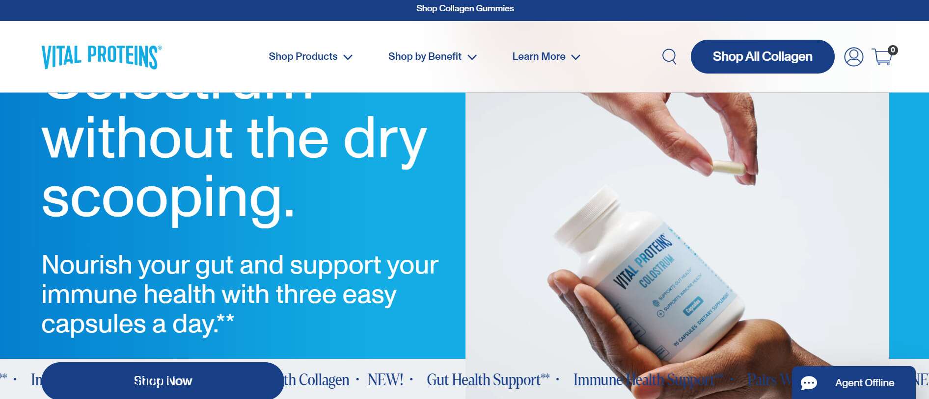 Top Shopify Healthcare Brand Vital Proteins