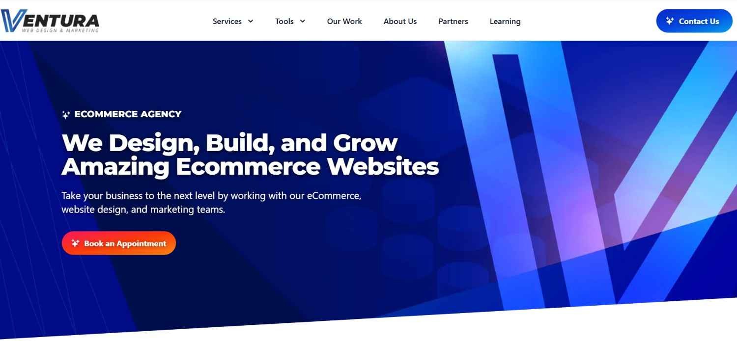 A screenshot of the Ventura Web Design & Marketing website homepage.