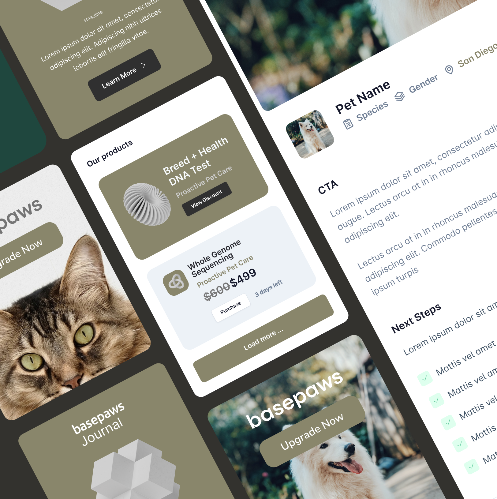 Recent UI work for Basepaws