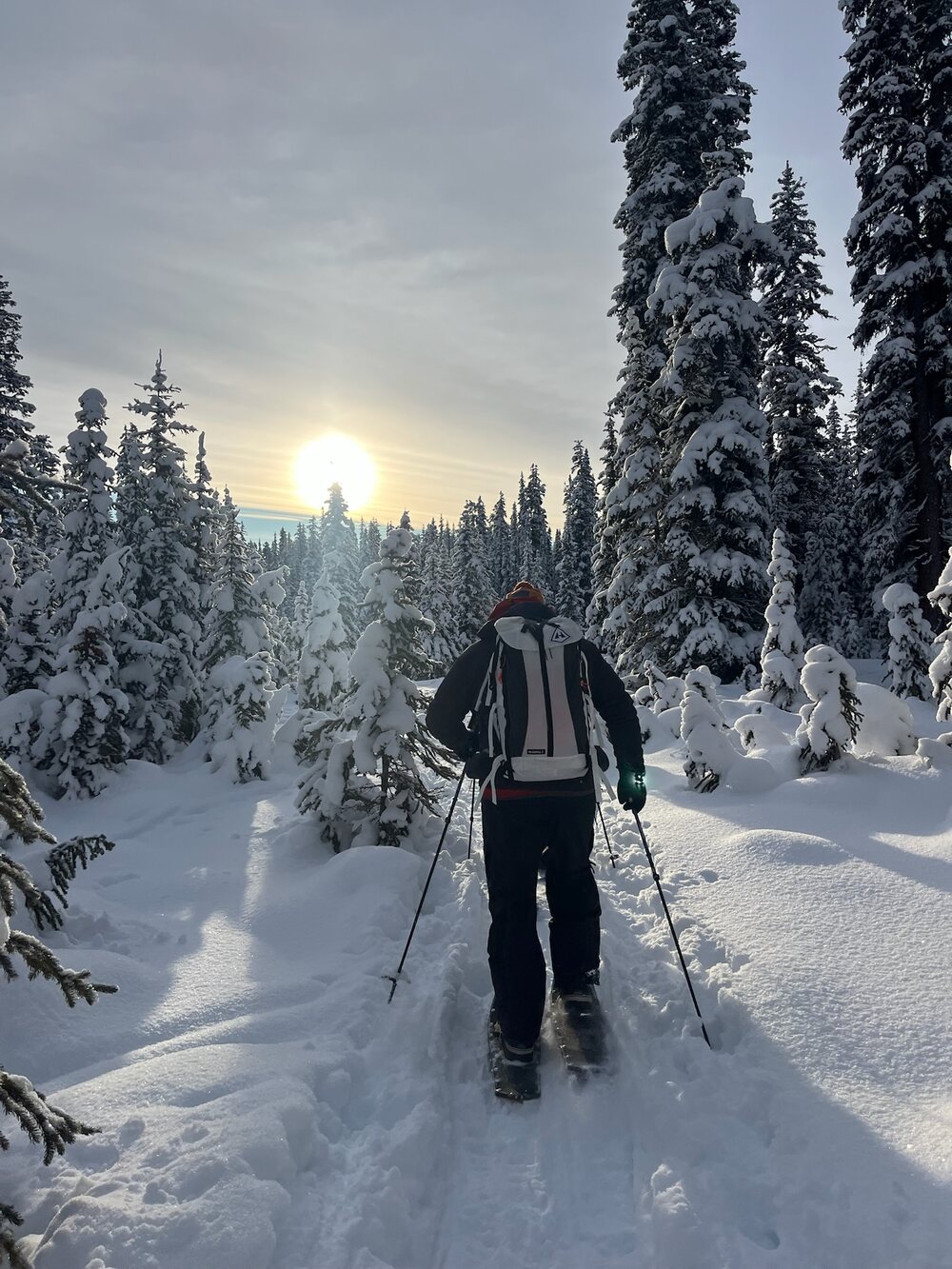 Snowshoeing