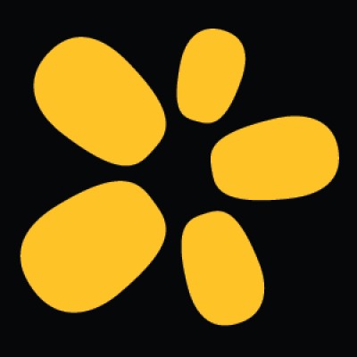 Zerve AI