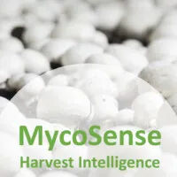 MycoSense AI