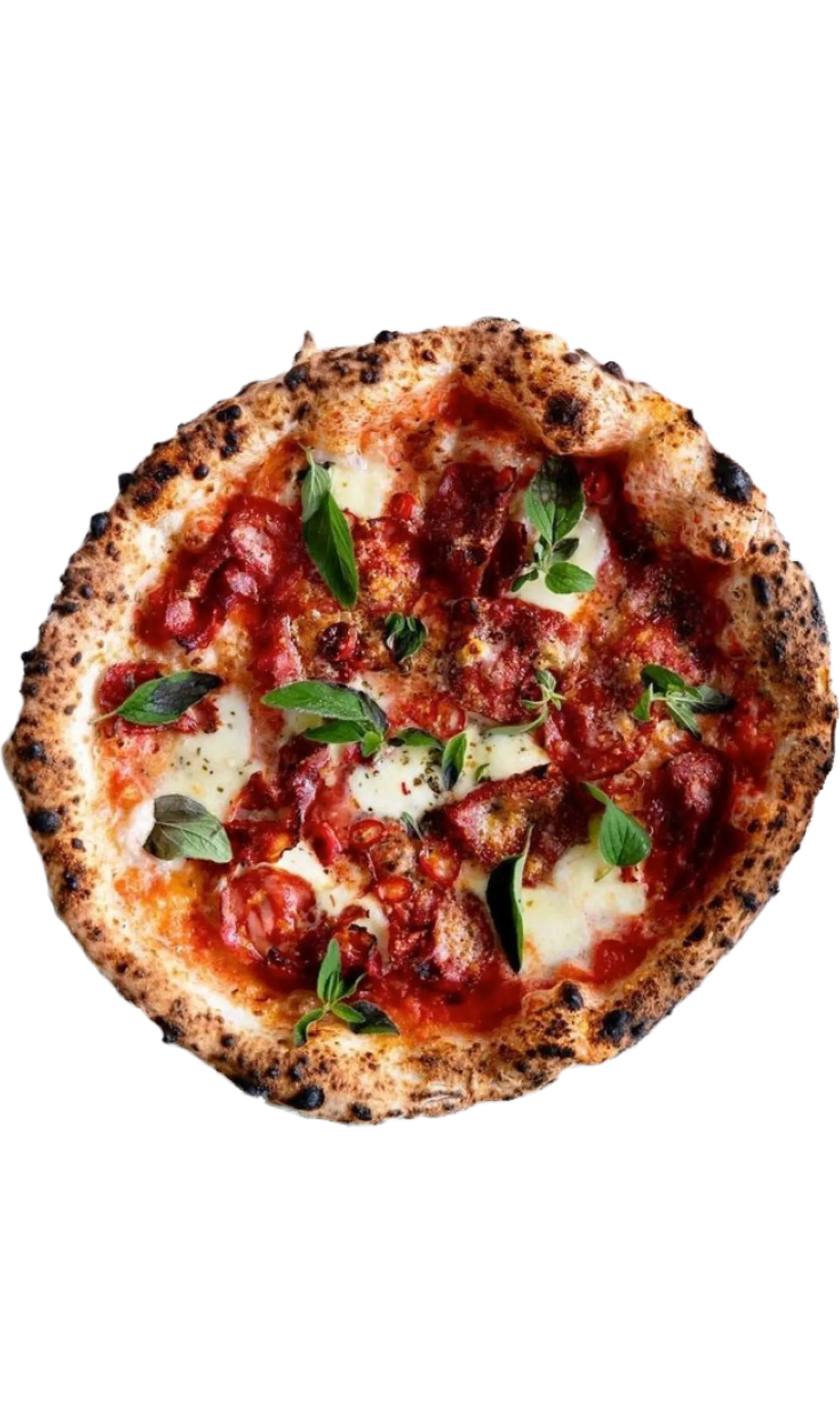 Product image, used on template as placeholder