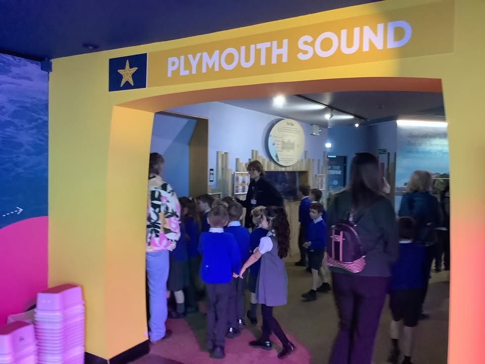 402315119973403_1520436126268325