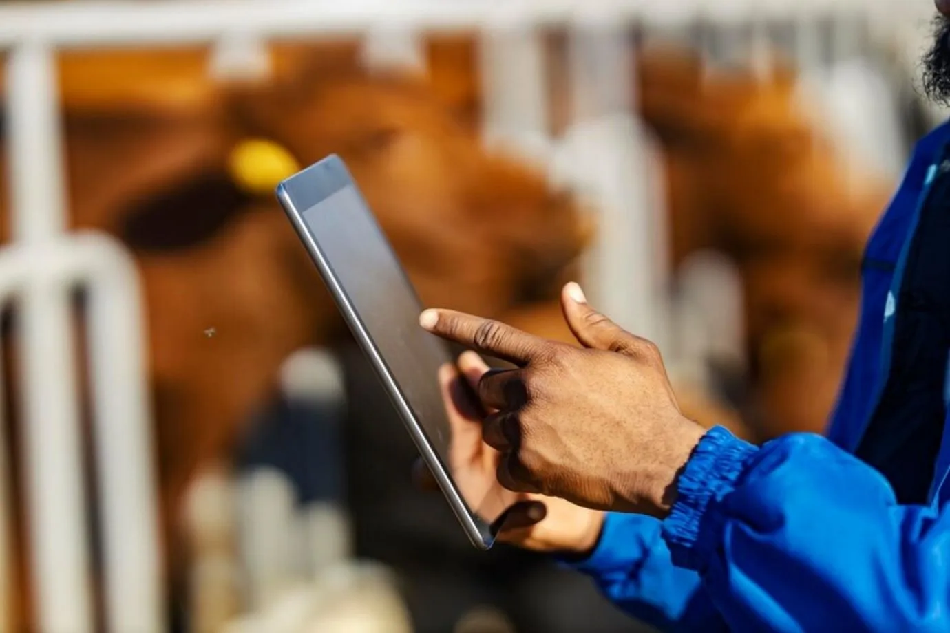 Digital tools are being used to streamline pre-delivery inspections in a warehouse setting