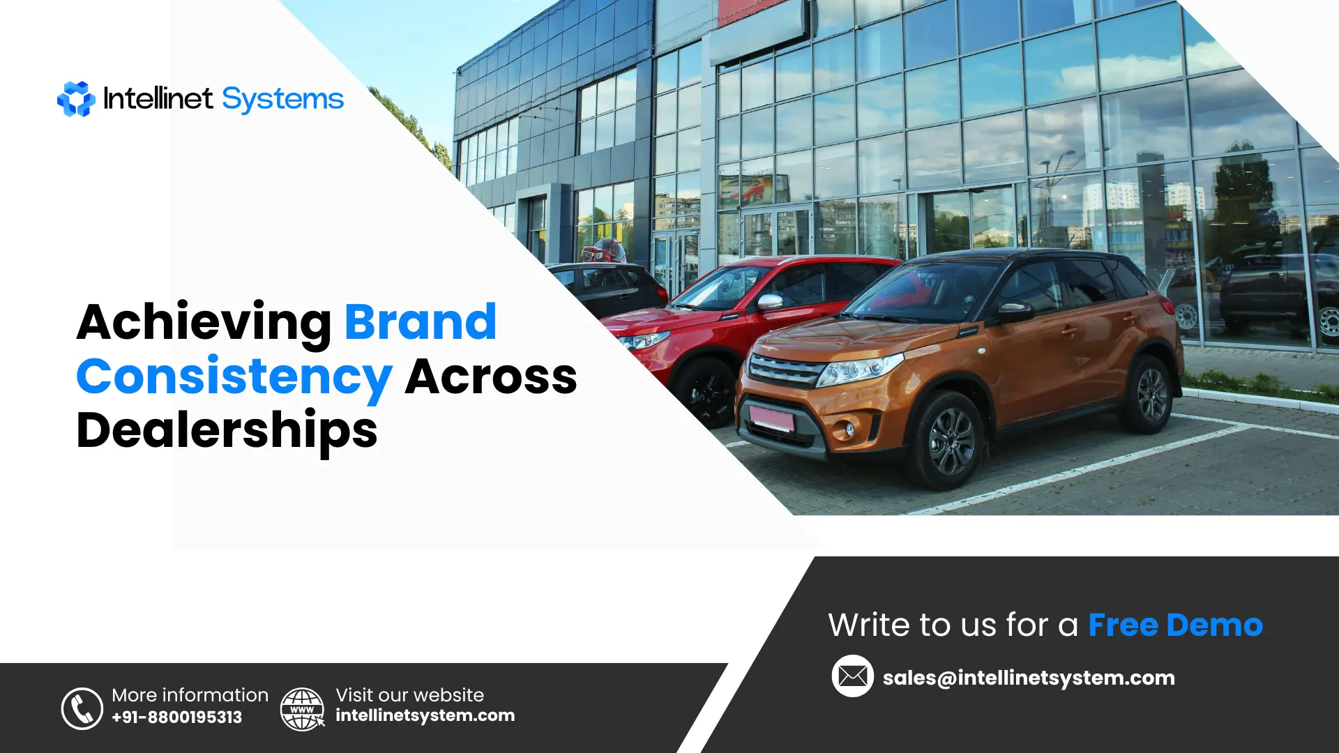 How international dealerships maintain consistent branding in diverse markets