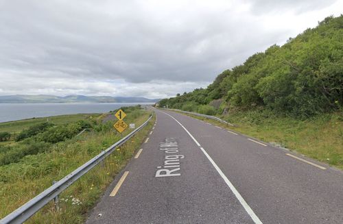 Management of IAPS on the National Roads, Co. Kerry