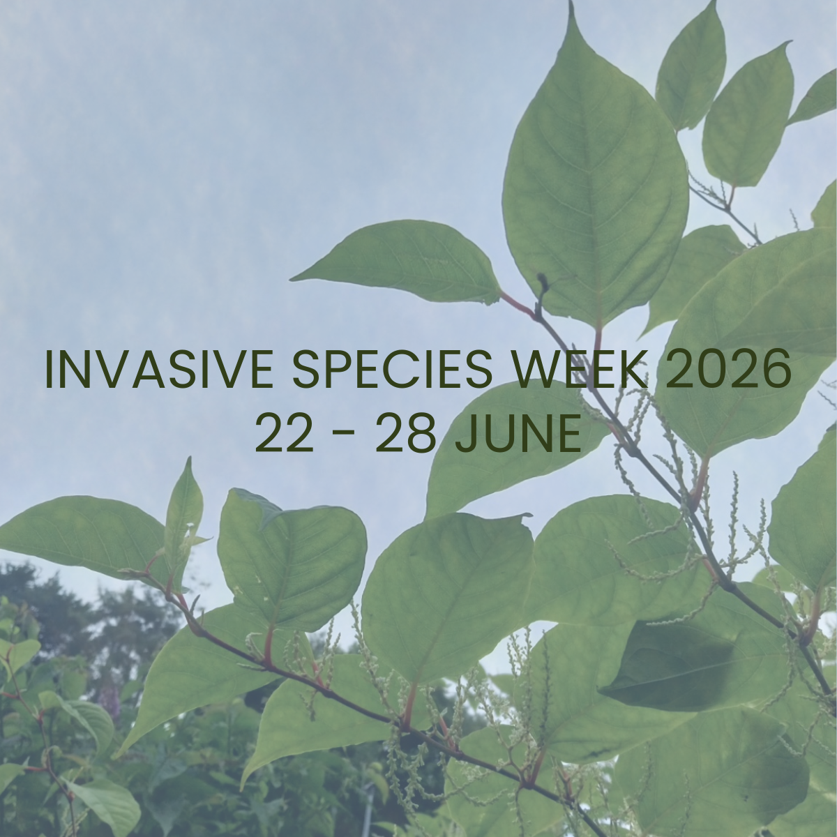 Invasive Species Week 2026!