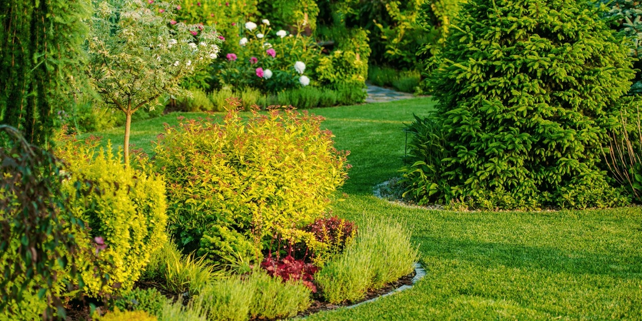 Foto van een tuin