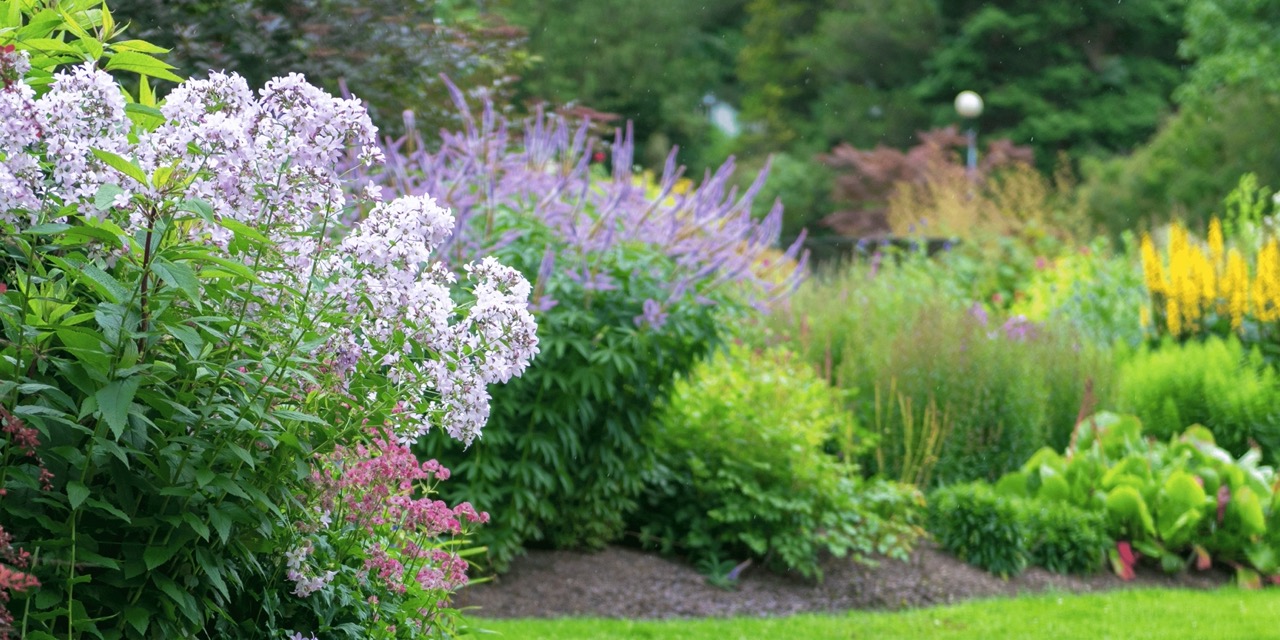 Foto van een tuin
