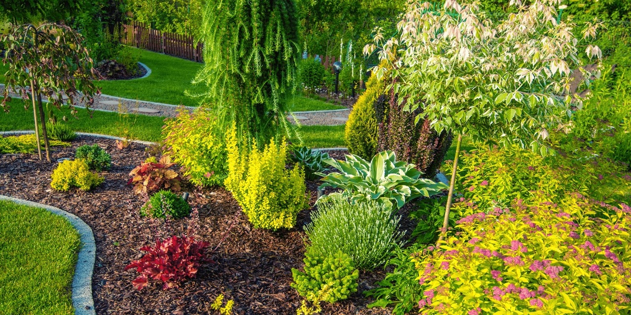 Foto van een tuin