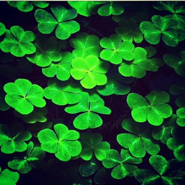 В St. Patrick’s Day - ирландское рагу с бараниной и овощами