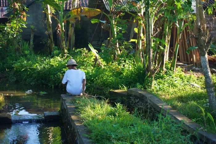 Индонезийская кухня дома: кукурузные оладьи в кокосовом масле и про Кетута
