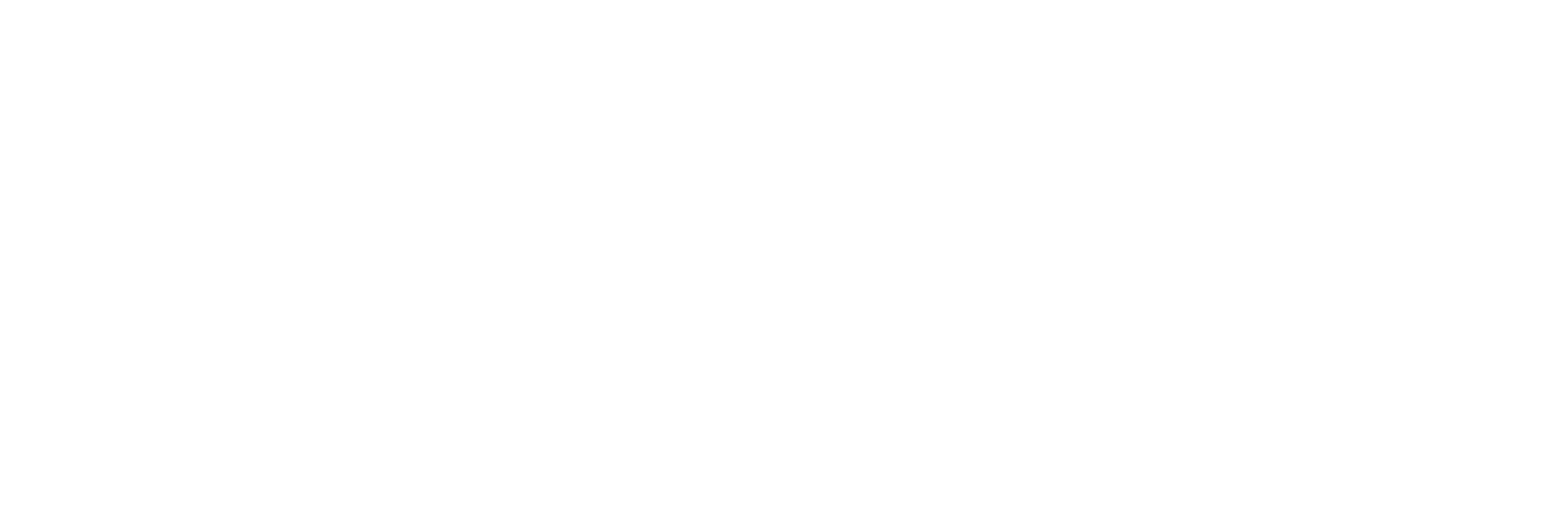 Travieso Capital Partners