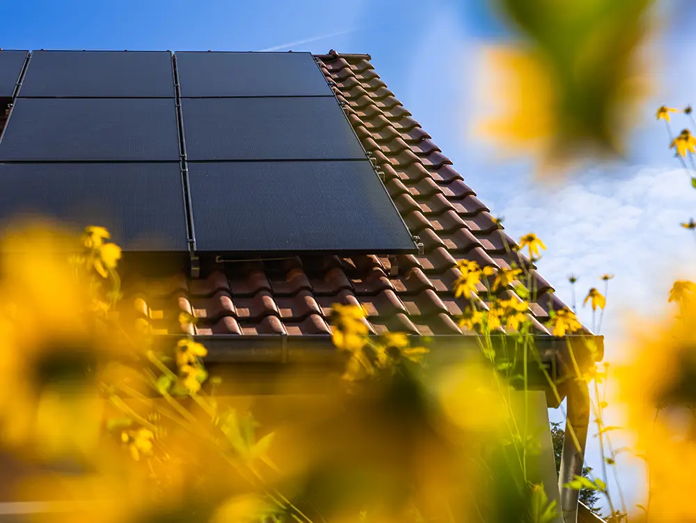 Fertig installierte Enpal Solaranlage auf einem hellbraunen Hausdach. Im Vordergrund sieht man Gartenblumen.