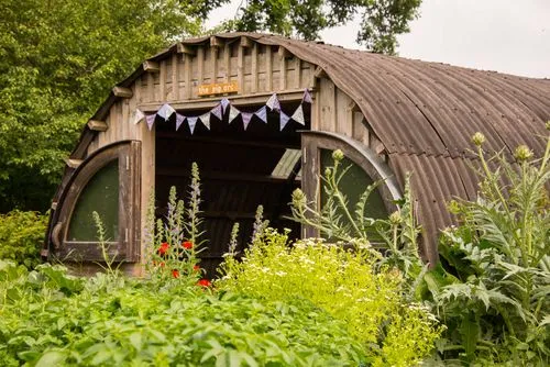 Human pig arc surrounded by plants in the community garden