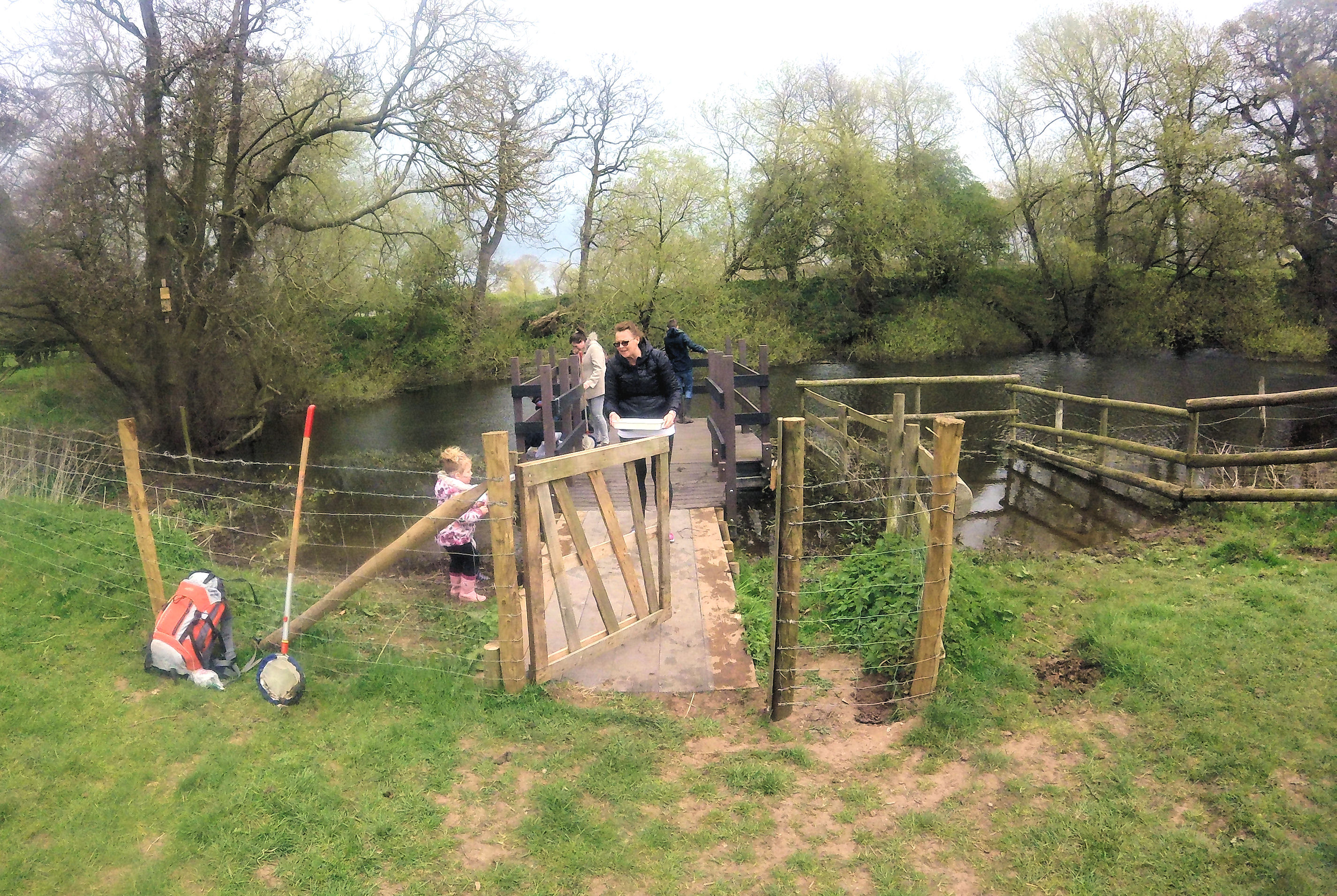 Pond dipping platform