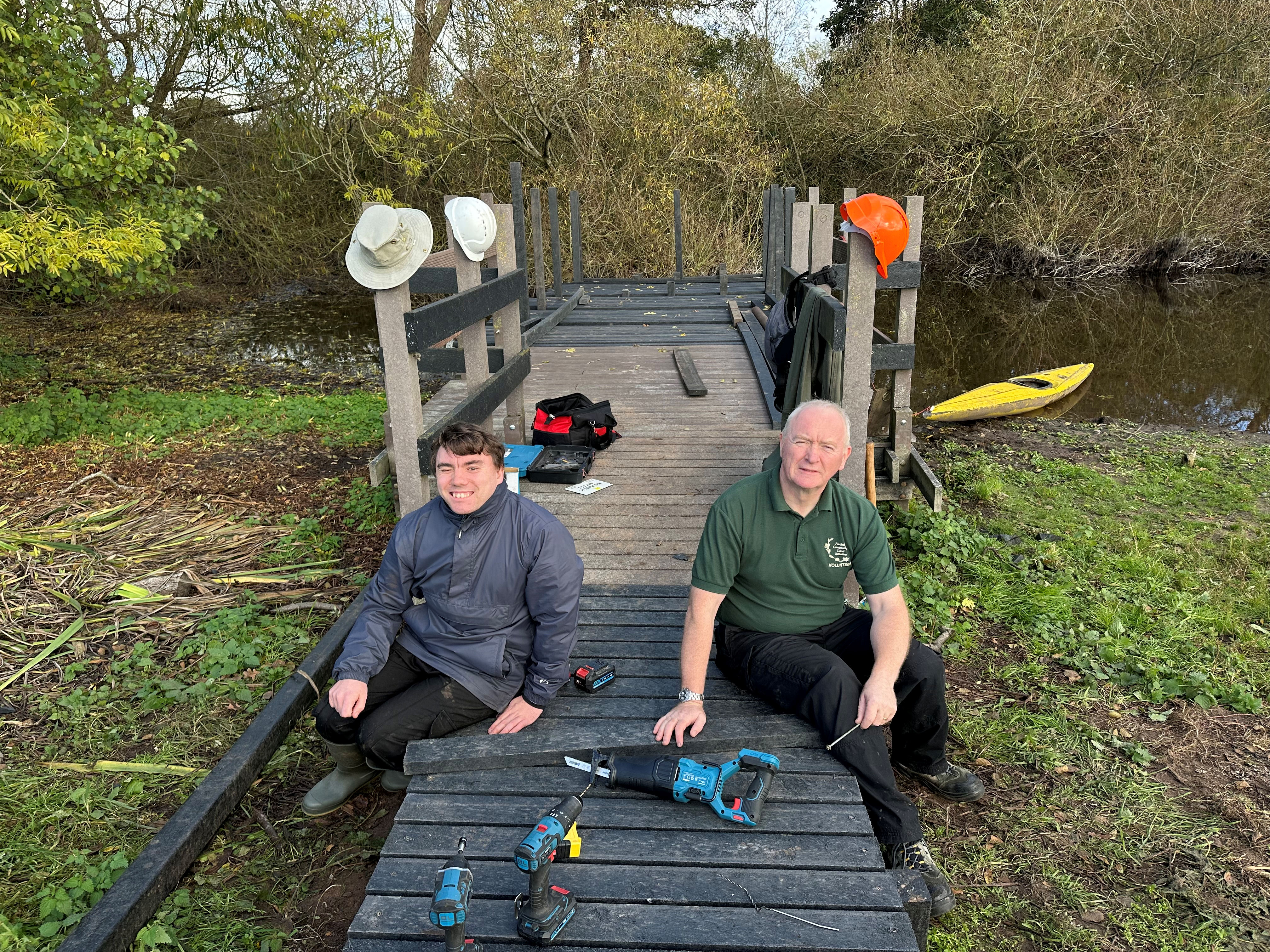 Cartoon cows wild swimming