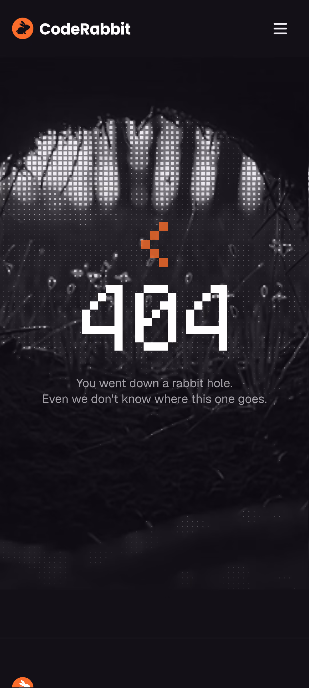 Code Rabbit