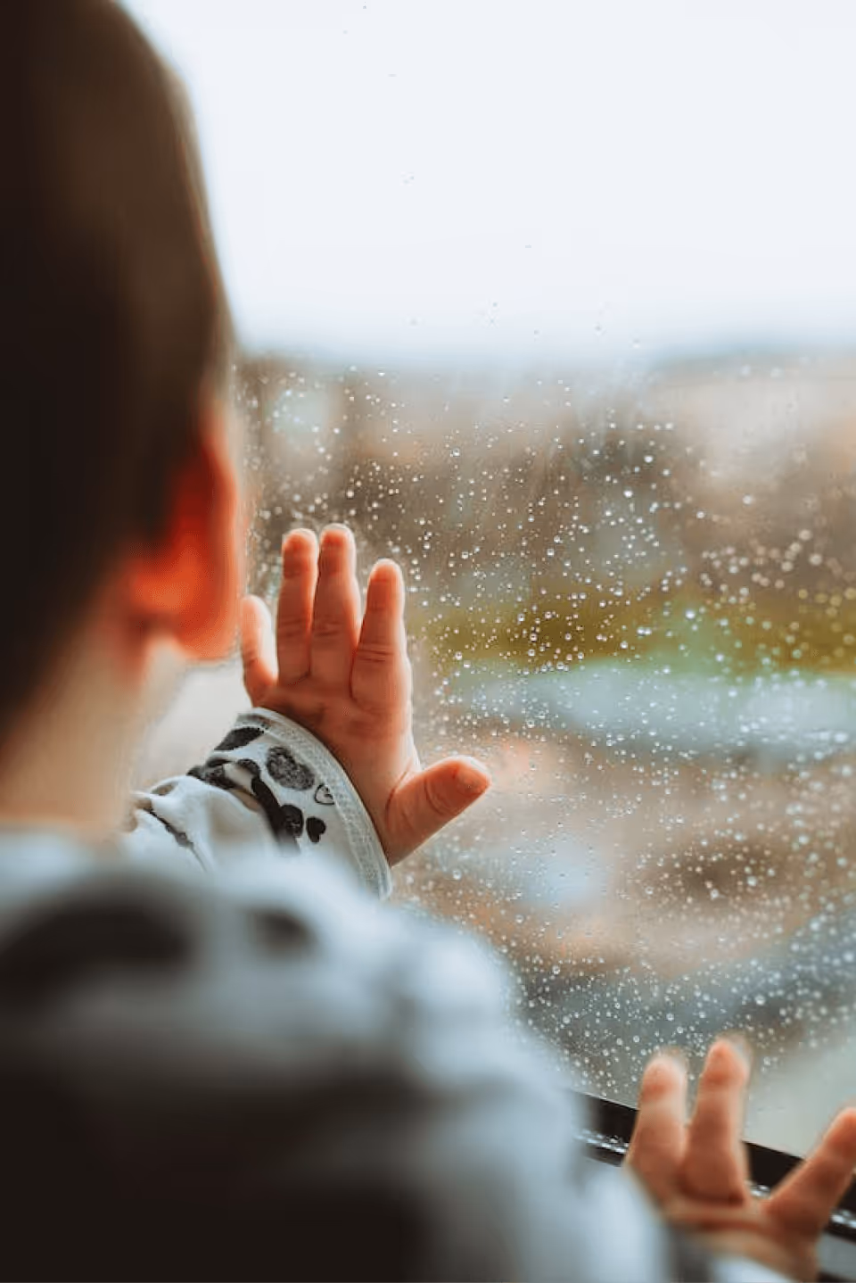 Utah window experts