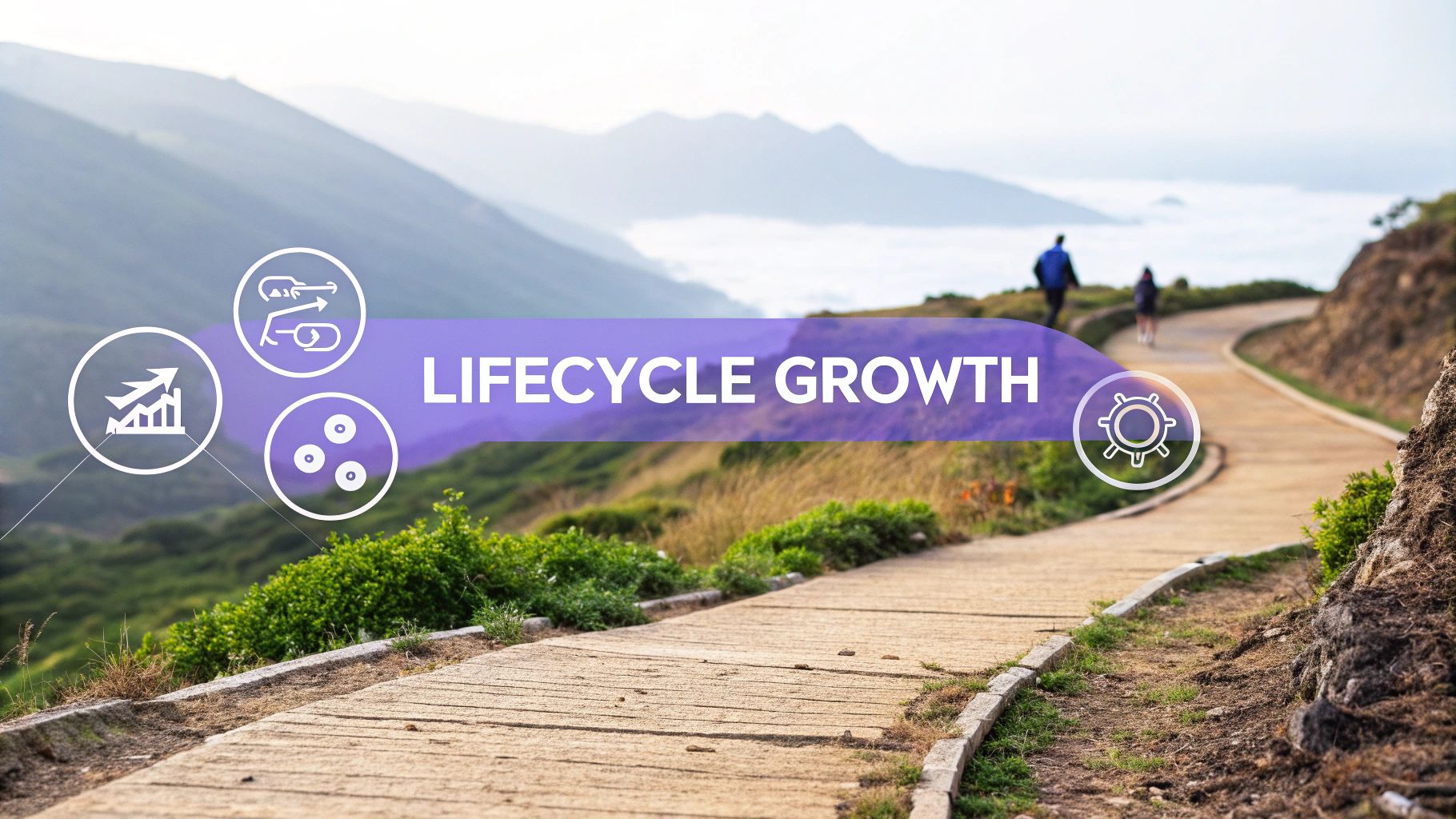 Mastering Customer Lifecycle Phases for Growth