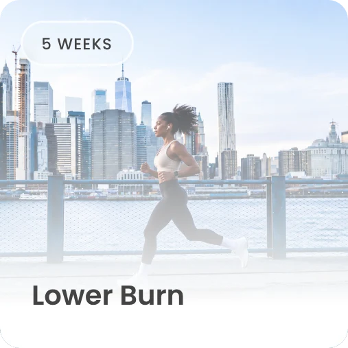 Lower Burn program