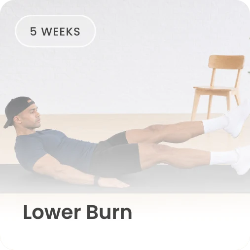 Lower Burn program