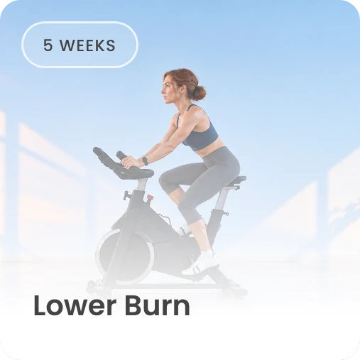 Lower Burn program