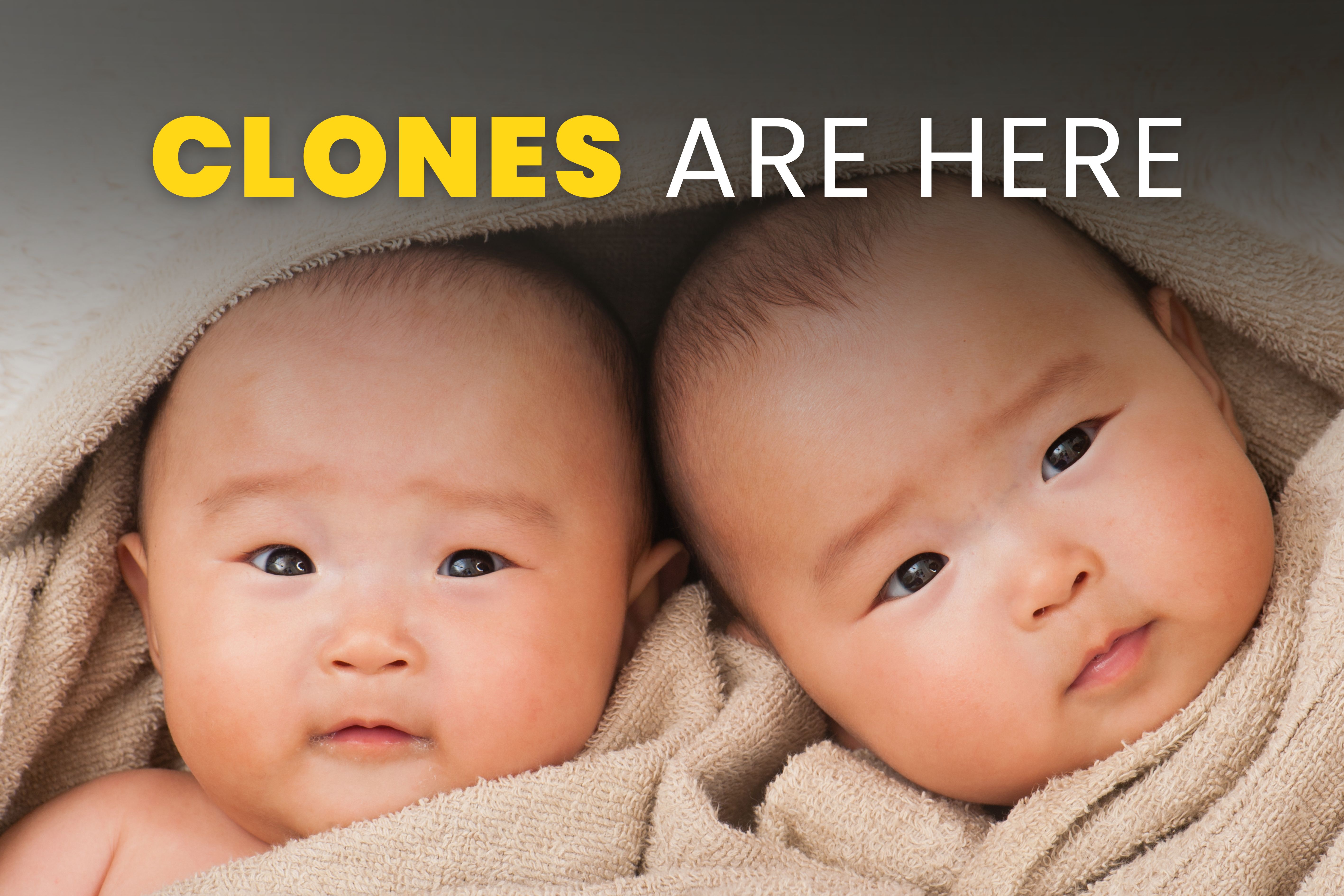 The Longevity Letter #8: Your Clone, Your Organs—And Maybe Your 150-Year Lifespan