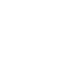 Anevis