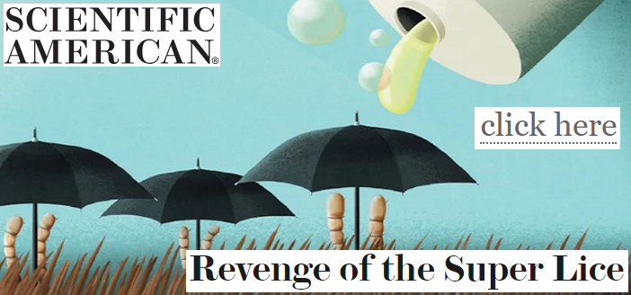 Scientific American Speaks with LiceDoctors Owner Karen Sokoloff About Super Lice