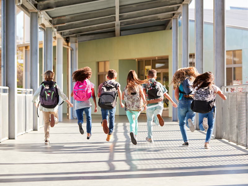 How to Spot Lice Early in the School Year