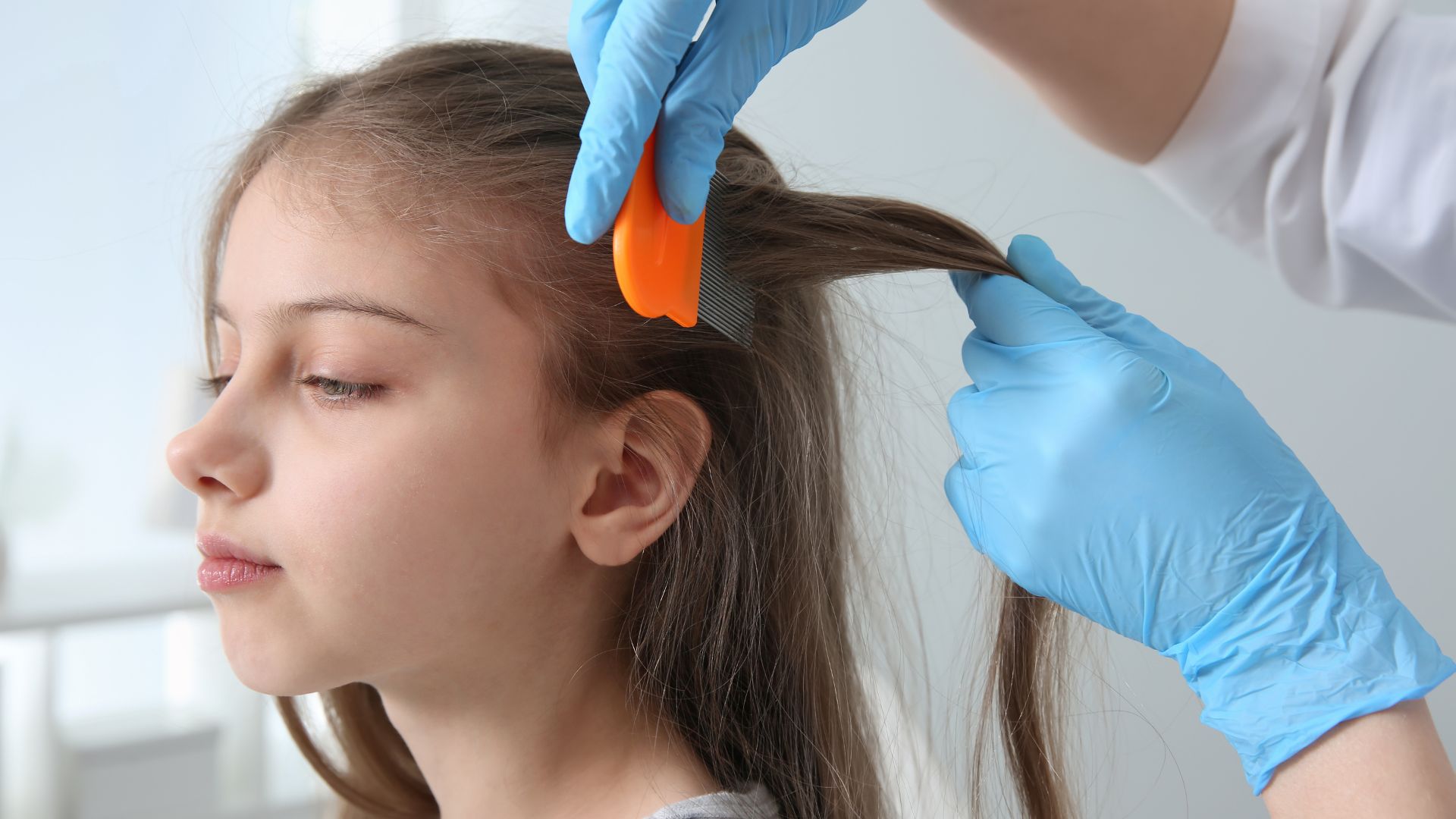 Professional In-Home Treatment