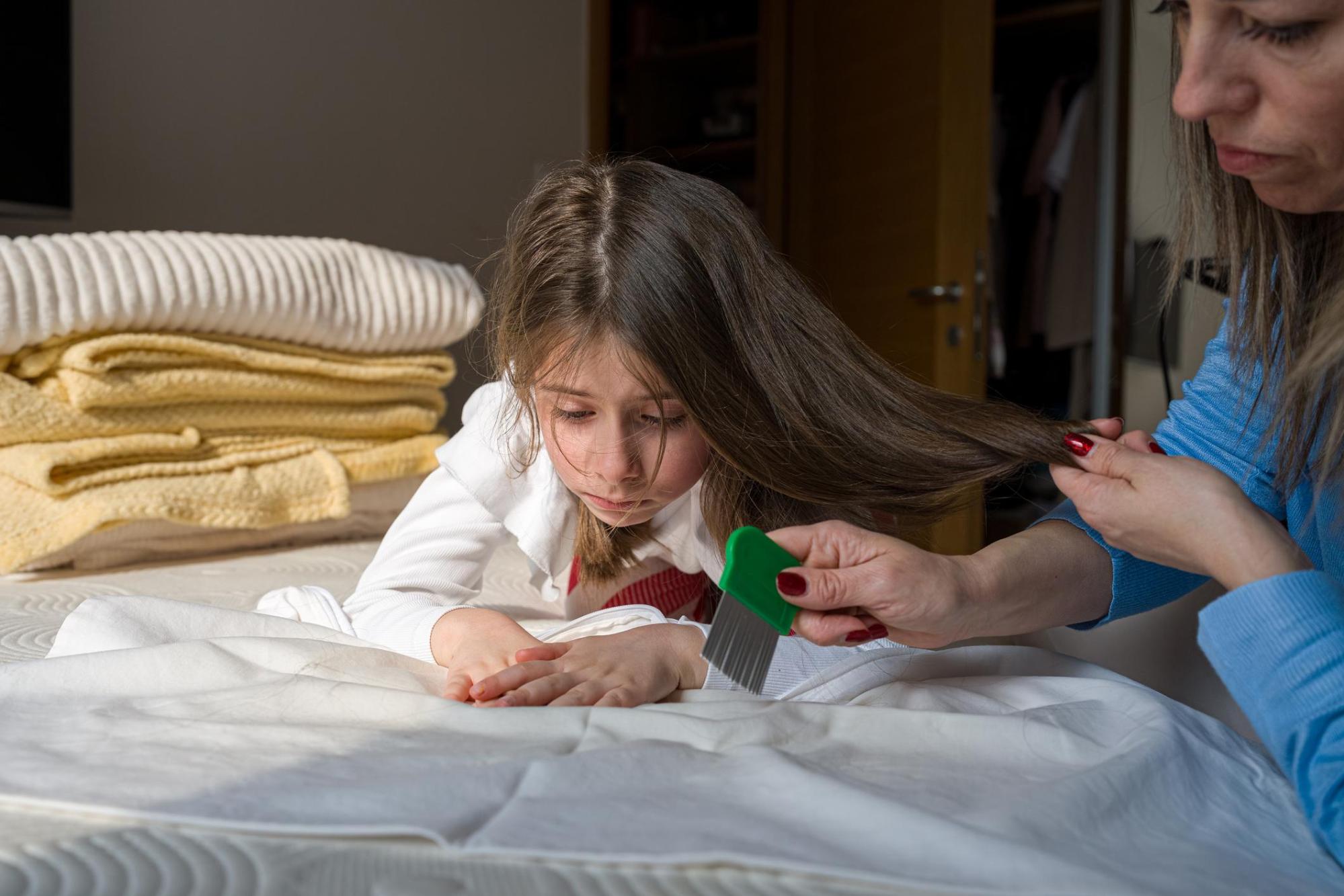 How to Check for Head Lice the Right Way