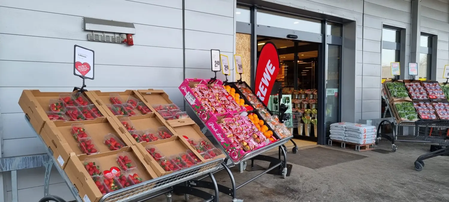 Streiks KW Holger Honings