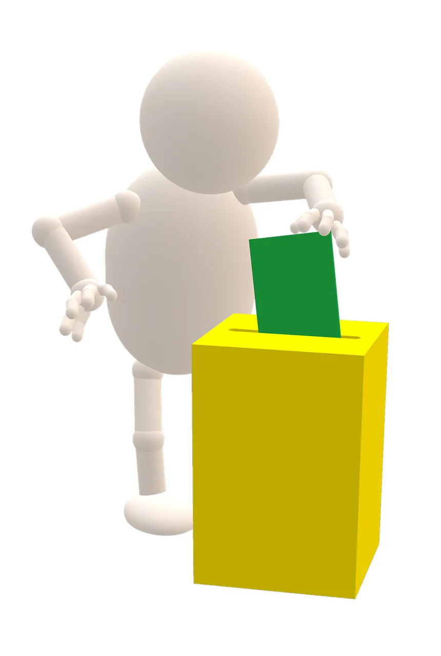 Wähler Holger Honings