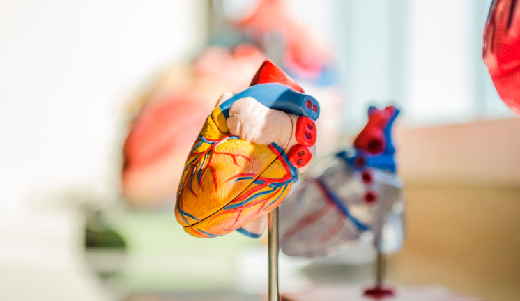 Ready for 3D-Printed Organs and a Knife That ‘Smells’ Tumors