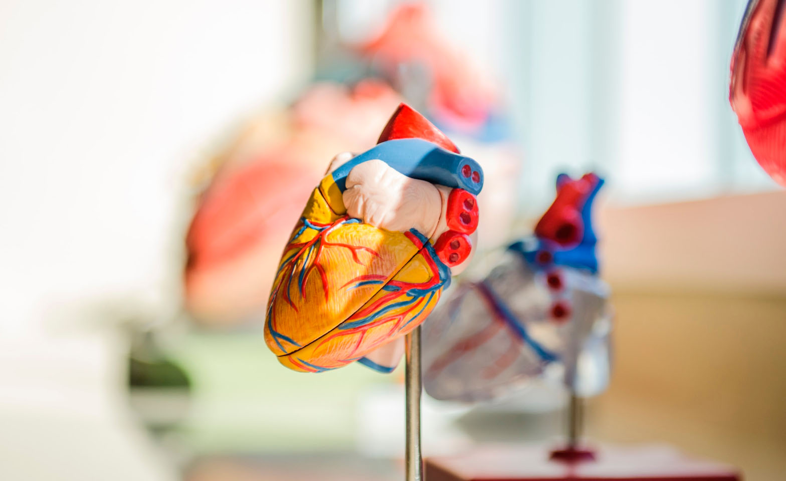 Ready for 3D-Printed Organs and a Knife That ‘Smells’ Tumors